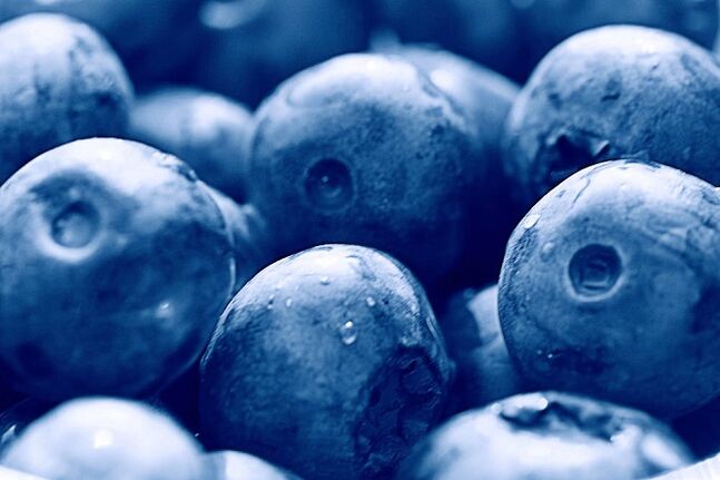 Blueberries for Ketogenic Diet